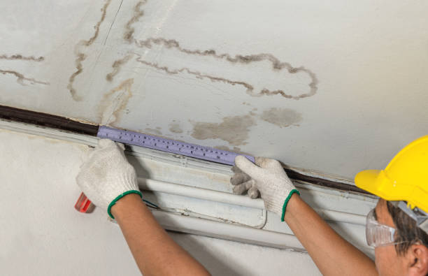 Reliable Mold Remediation contractor in Lynchburg, TN by Water Damage Irwin